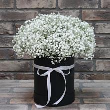 Цветочная композиция из Гипсофила в шляпной коробке в Большой Речке