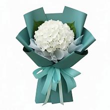Букет цветов из:  Гортензия #REPLACE_PRED# Большой Речке
